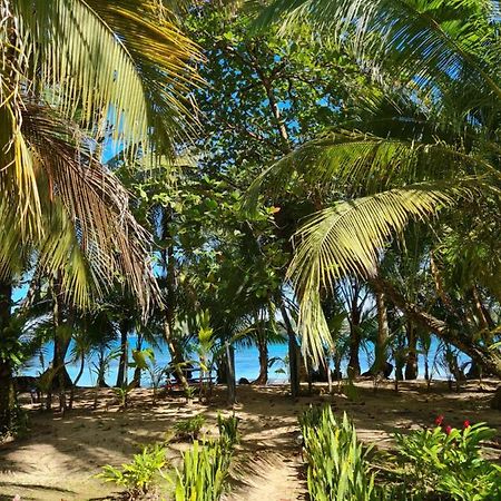 Drago Beach House - Private Beach ボカ・デル・ドラゴ エクステリア 写真