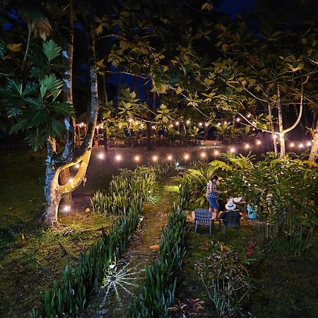 Drago Beach House - Private Beach ボカ・デル・ドラゴ エクステリア 写真