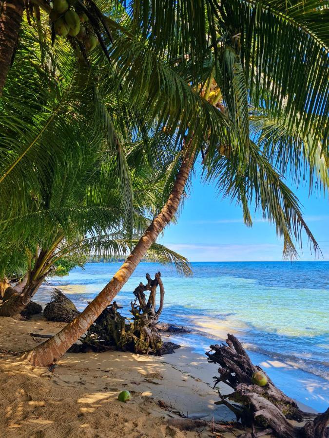Drago Beach House - Private Beach ボカ・デル・ドラゴ エクステリア 写真