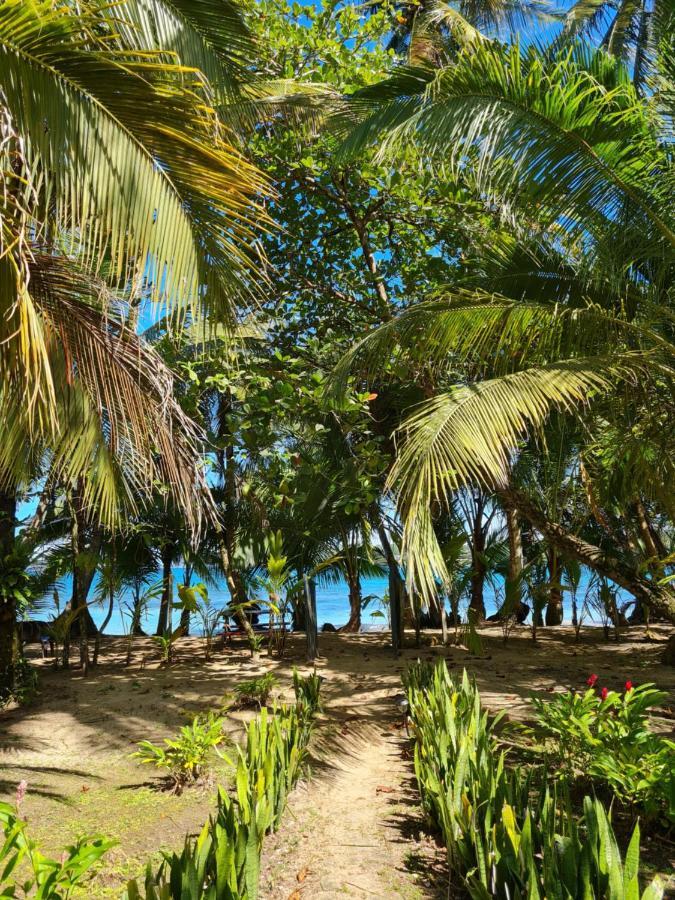 Drago Beach House - Private Beach ボカ・デル・ドラゴ エクステリア 写真