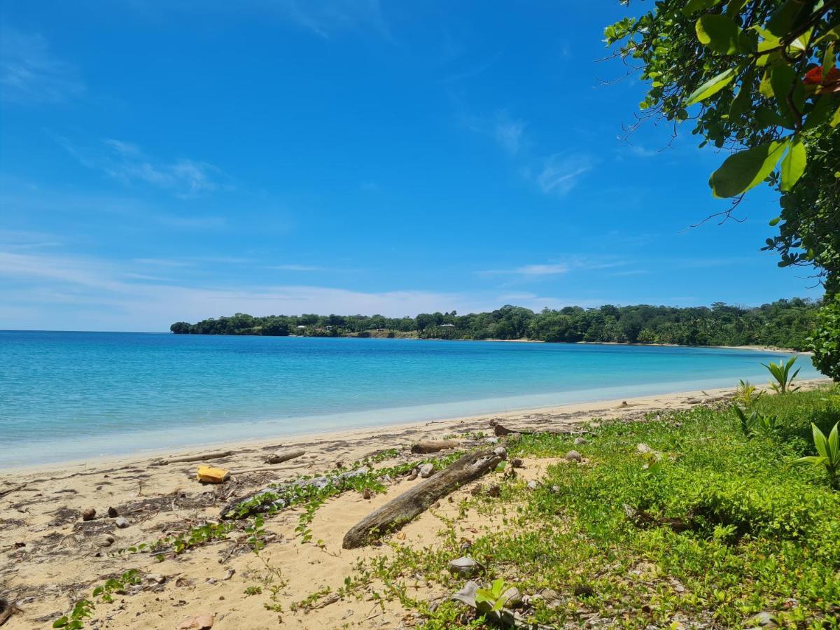 Drago Beach House - Private Beach ボカ・デル・ドラゴ エクステリア 写真
