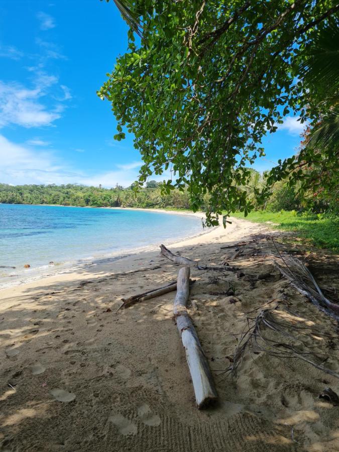 Drago Beach House - Private Beach ボカ・デル・ドラゴ エクステリア 写真