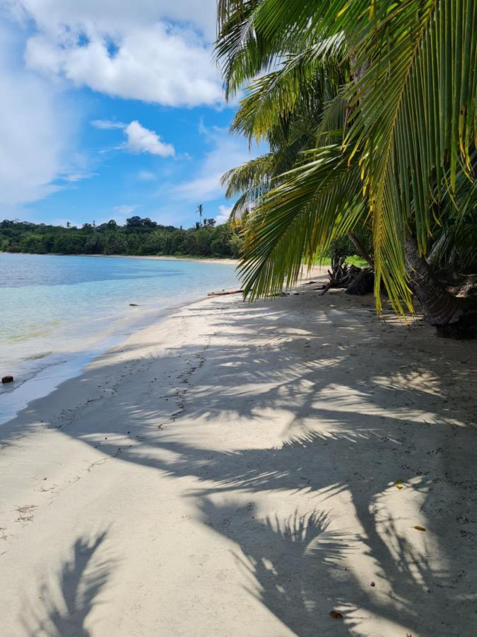 Drago Beach House - Private Beach ボカ・デル・ドラゴ エクステリア 写真