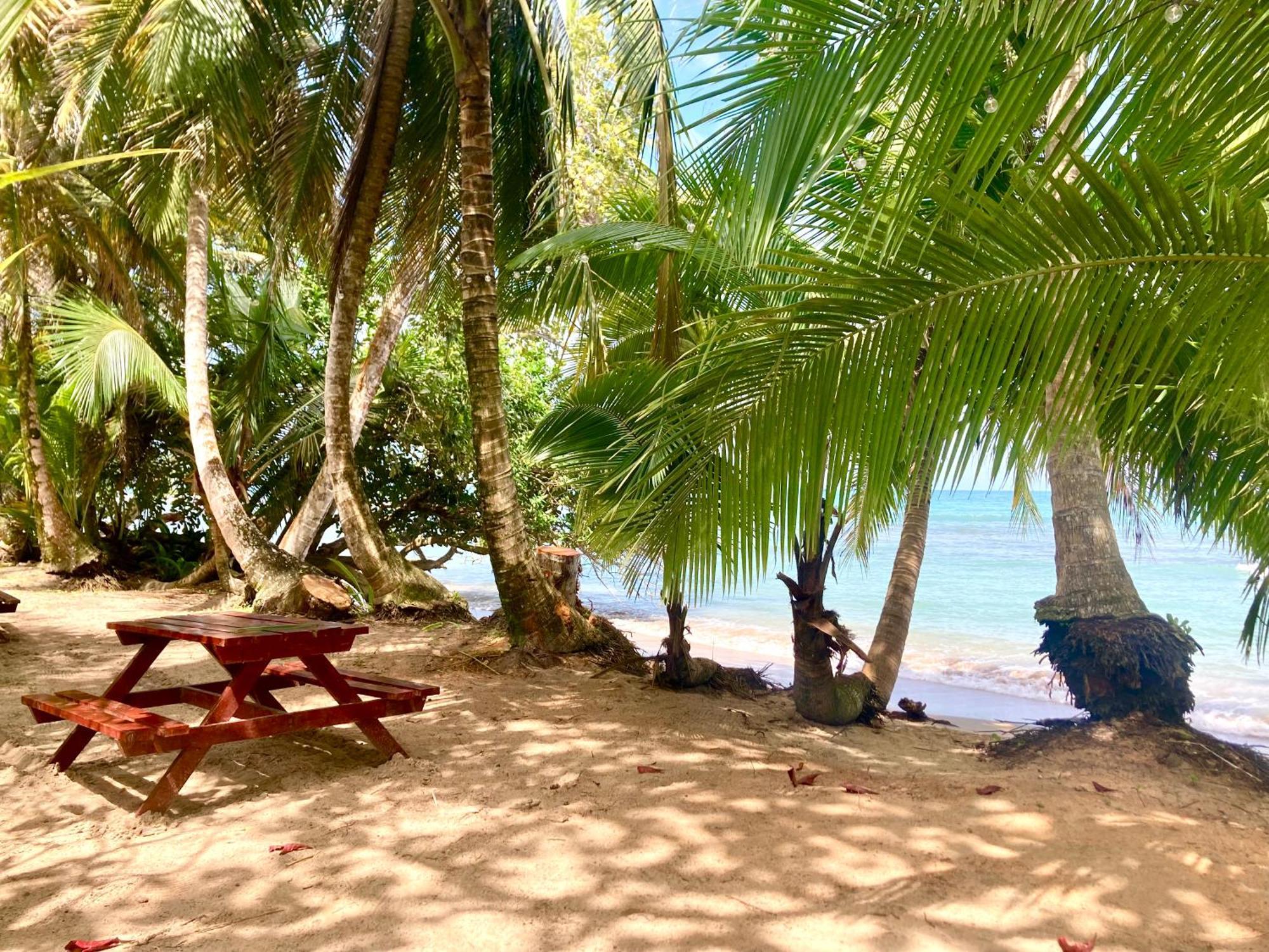 Drago Beach House - Private Beach ボカ・デル・ドラゴ エクステリア 写真