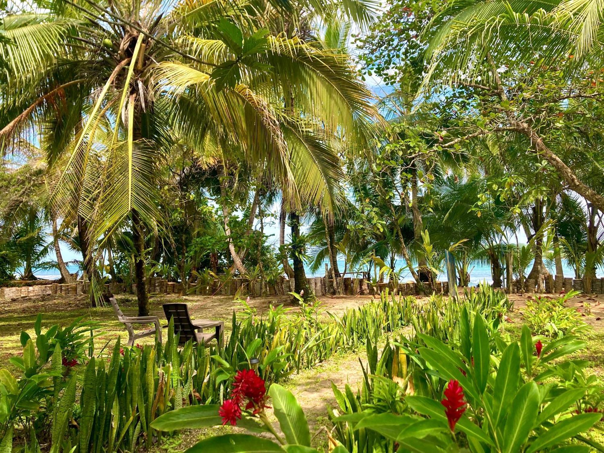 Drago Beach House - Private Beach ボカ・デル・ドラゴ エクステリア 写真