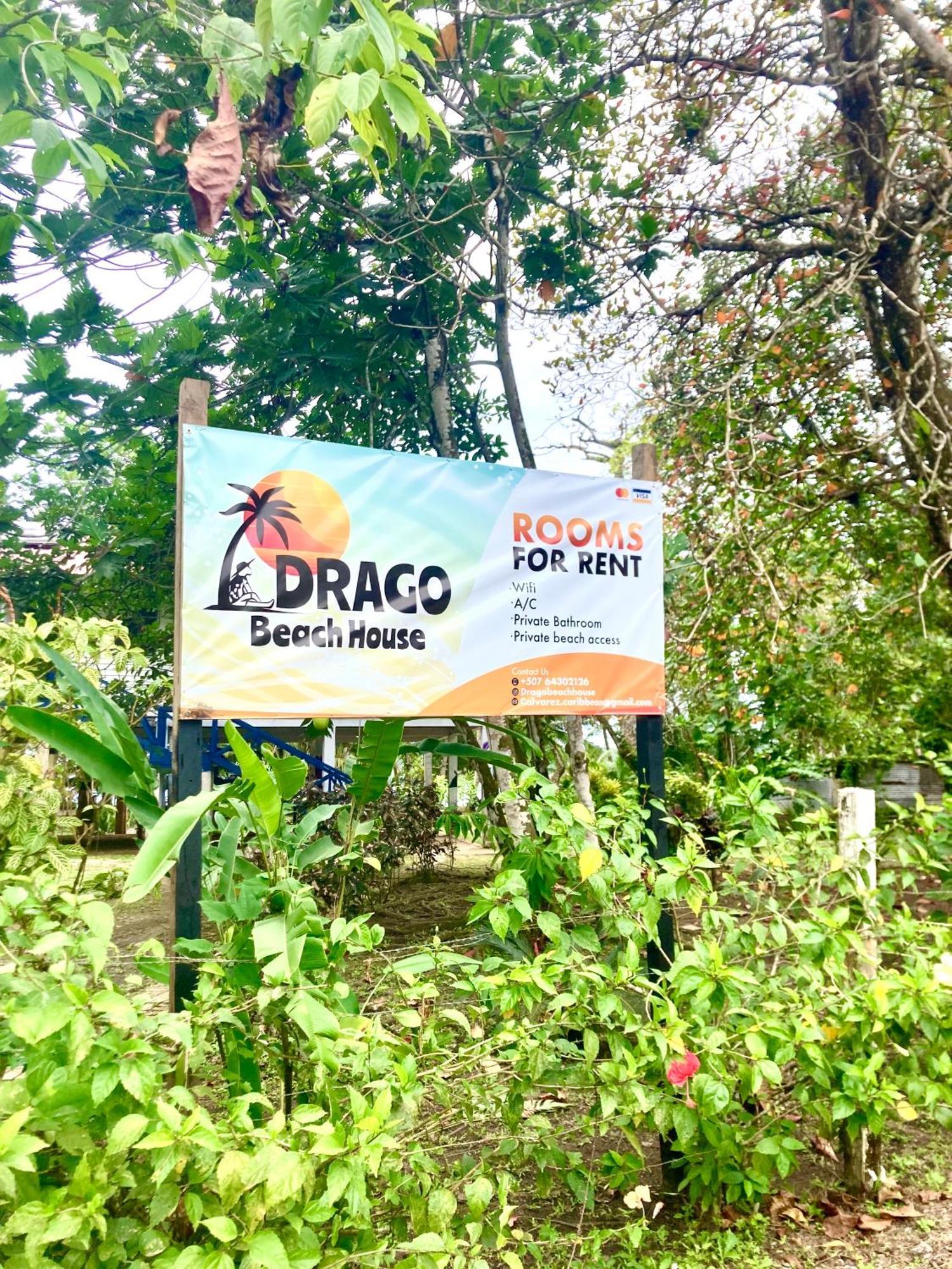 Drago Beach House - Private Beach ボカ・デル・ドラゴ エクステリア 写真