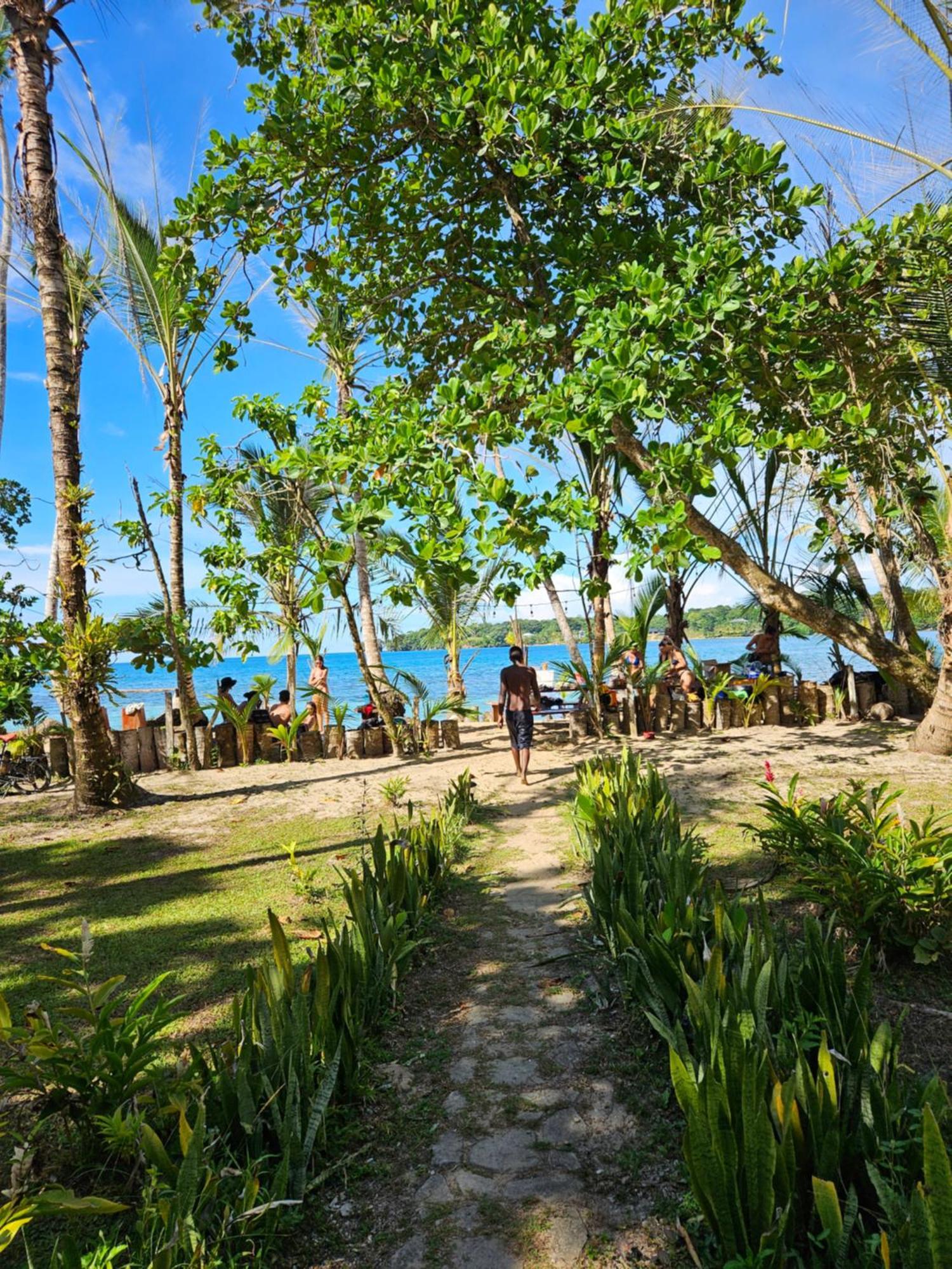 Drago Beach House - Private Beach ボカ・デル・ドラゴ エクステリア 写真