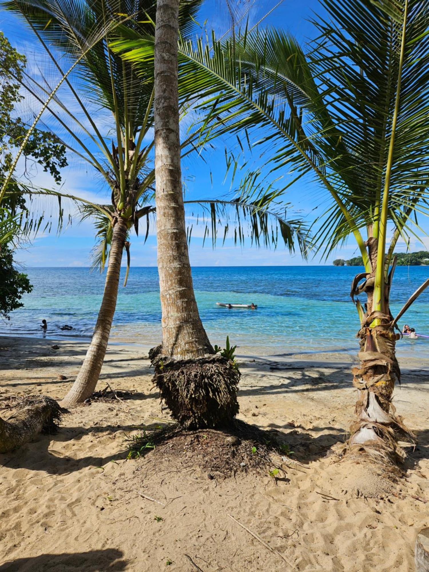 Drago Beach House - Private Beach ボカ・デル・ドラゴ エクステリア 写真