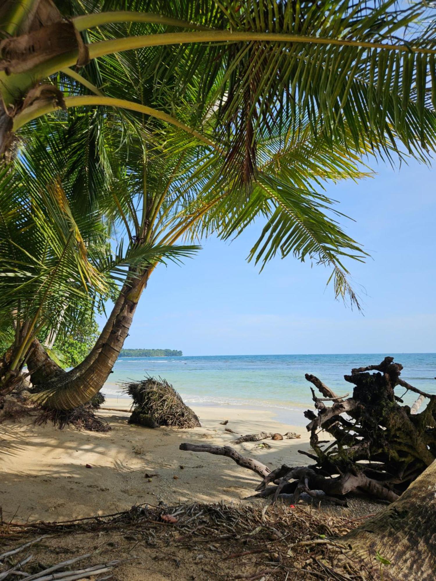 Drago Beach House - Private Beach ボカ・デル・ドラゴ エクステリア 写真