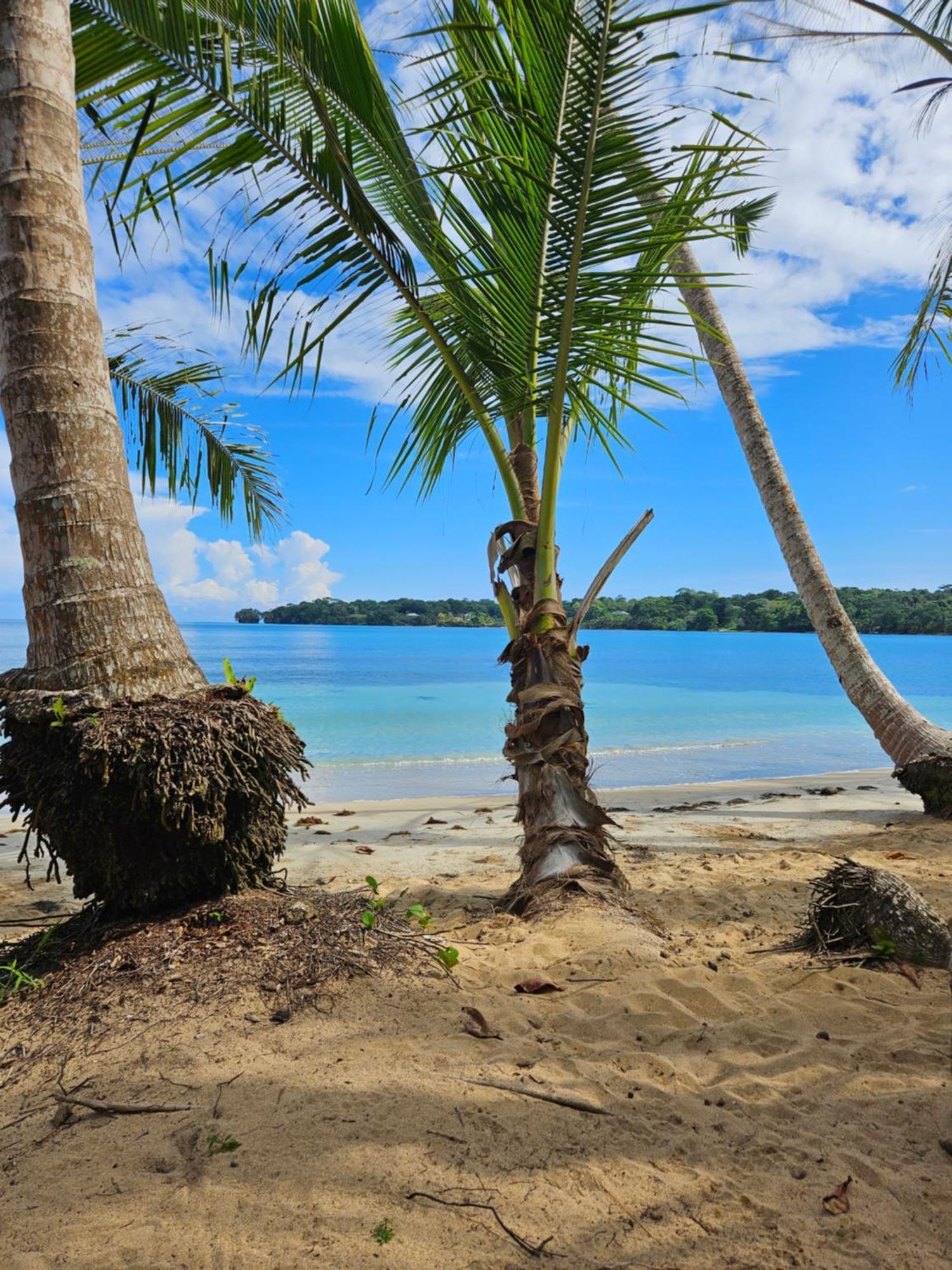 Drago Beach House - Private Beach ボカ・デル・ドラゴ エクステリア 写真