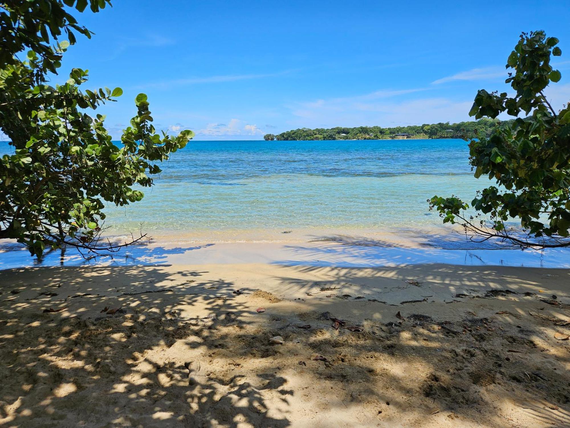 Drago Beach House - Private Beach ボカ・デル・ドラゴ エクステリア 写真