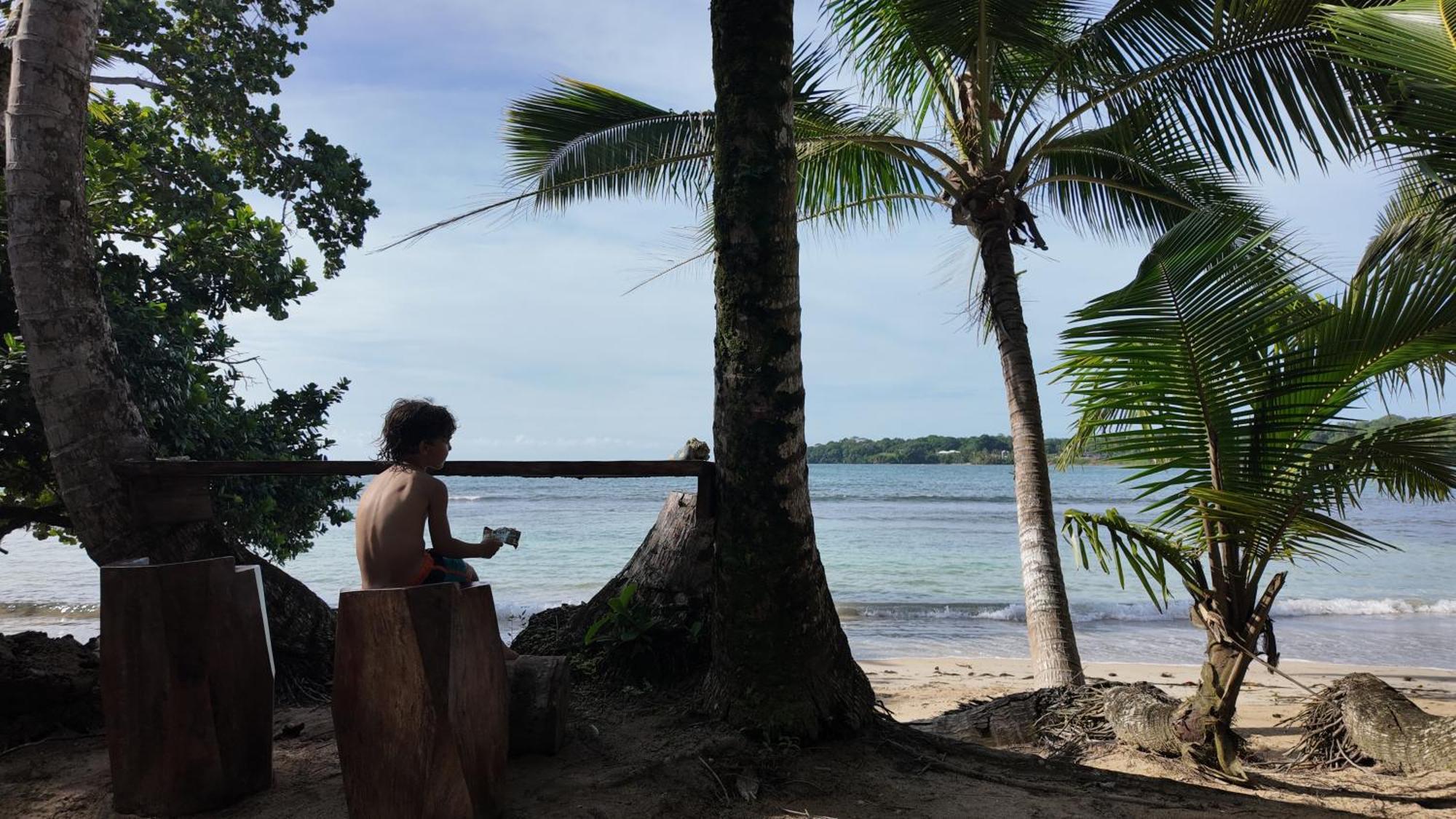 Drago Beach House - Private Beach ボカ・デル・ドラゴ エクステリア 写真