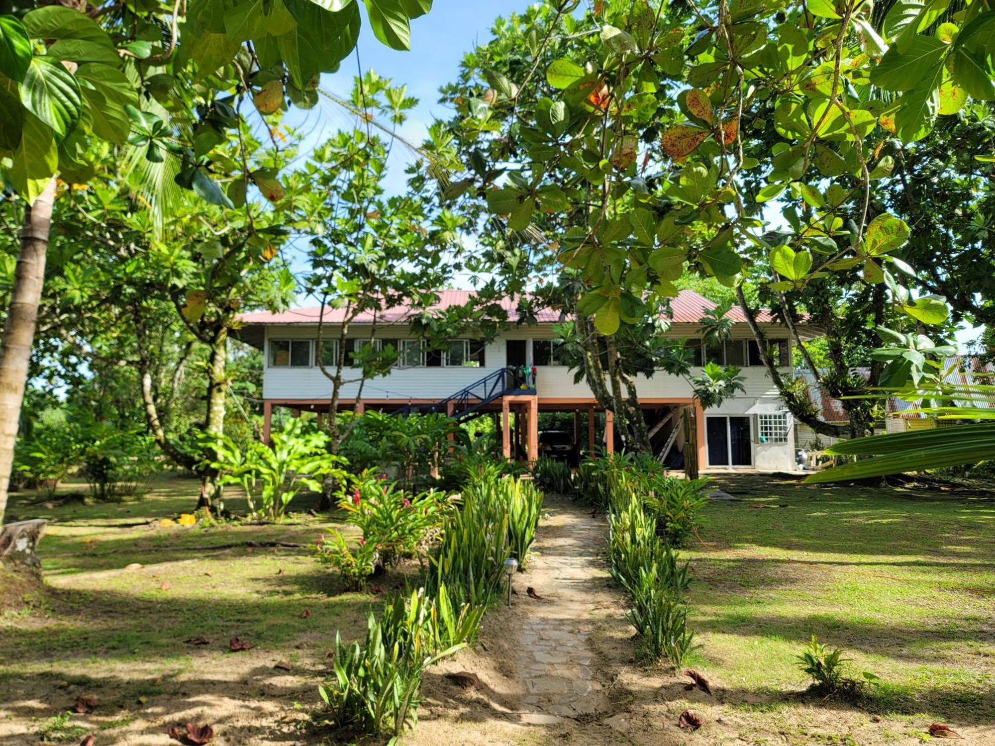 Drago Beach House - Private Beach ボカ・デル・ドラゴ エクステリア 写真