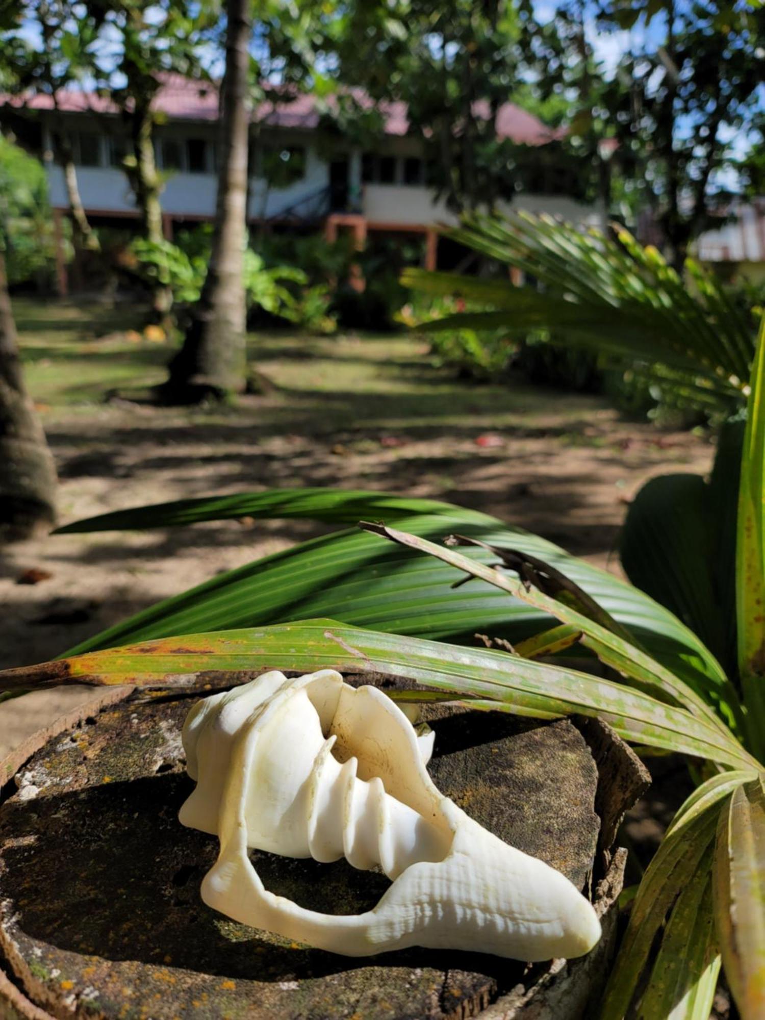 Drago Beach House - Private Beach ボカ・デル・ドラゴ エクステリア 写真