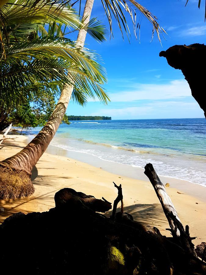 Drago Beach House - Private Beach ボカ・デル・ドラゴ エクステリア 写真